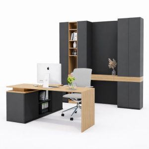 Xu Office for room 300x300cm